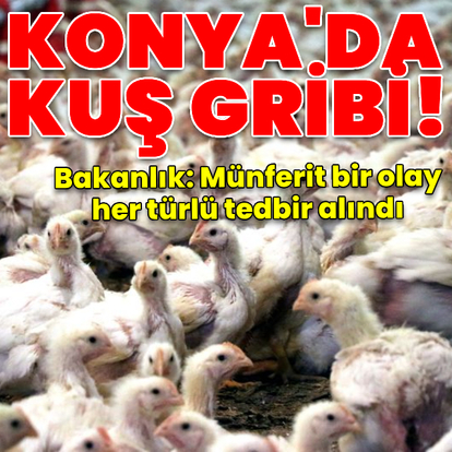  Konya'da kuş gribi tespit edildi! Bakanlıktan açıklama geldi