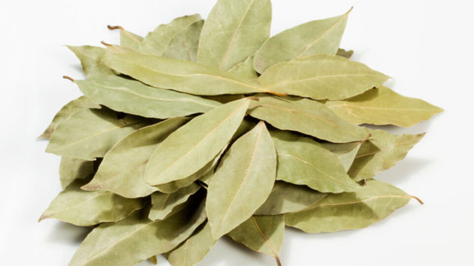 Defne Yaprağının Şaşırtan Faydaları!