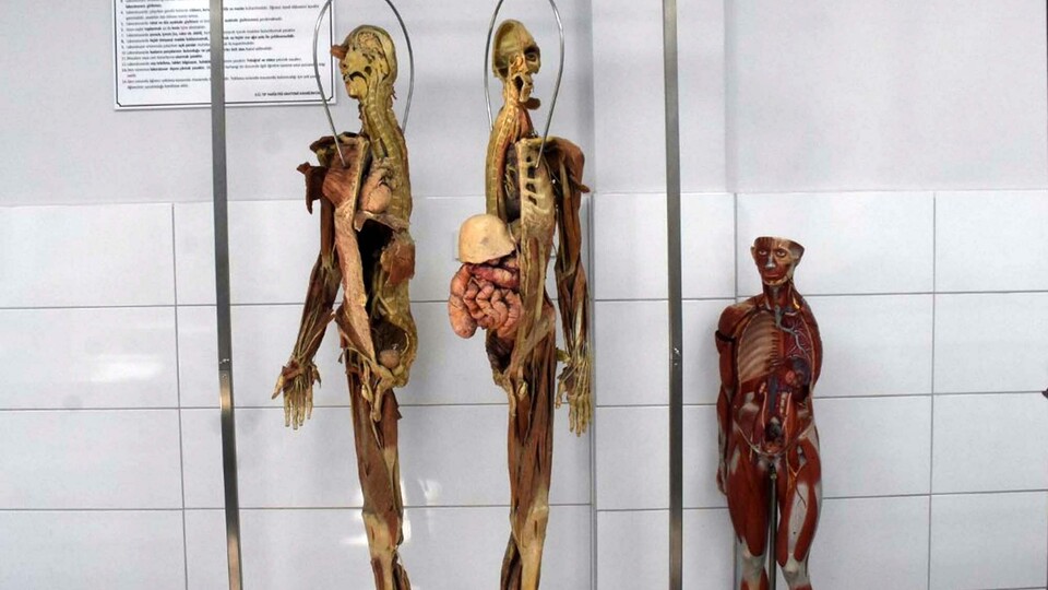 Tıp fakültelerinde kadavra sorunu