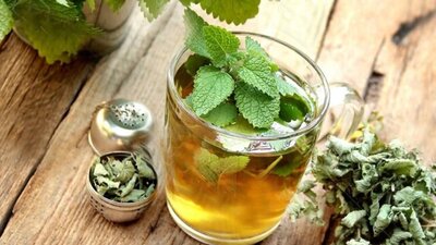 Melisa Çayının Mucize Faydaları