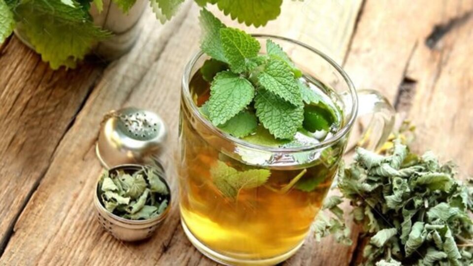 Melisa Çayının Mucize Faydaları