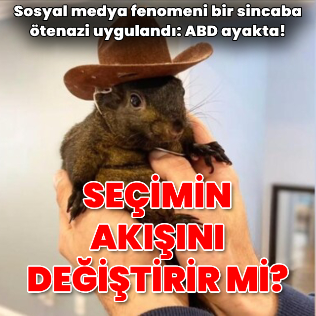 Bir 'sincap' ABD Başkanlık Seçimi'ni değiştirir mi?