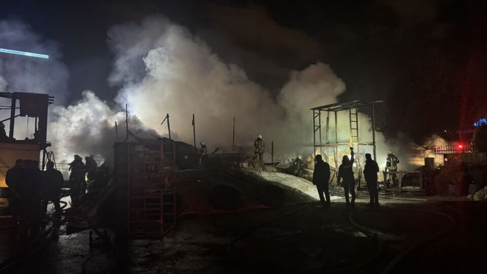 Esenyurt'ta ahır yangını: Çok sayıda büyükbaş öldü