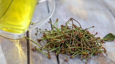 Vişne sapının faydaları ve zararları