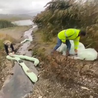 Sapanca Gölü alarmı! Kaza yapan araçlardan sızdı