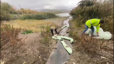Sapanca Gölü alarmı! Kaza yapan araçlardan sızdı