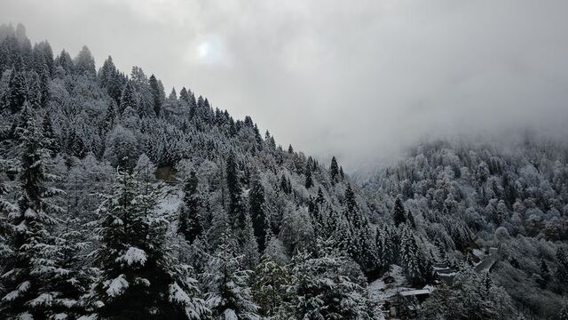 Rize Valiliği'nden yaylacılara uyarı