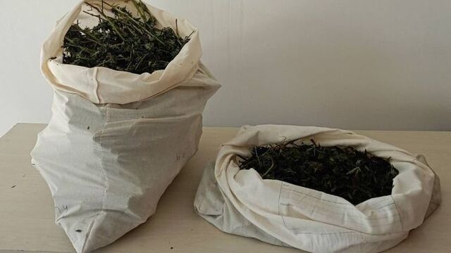 7 kilo 150 gram esrar ele geçirildi