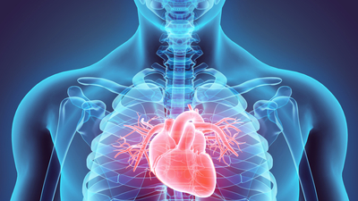 İşte kalp sağlığını koruyan gıdalar