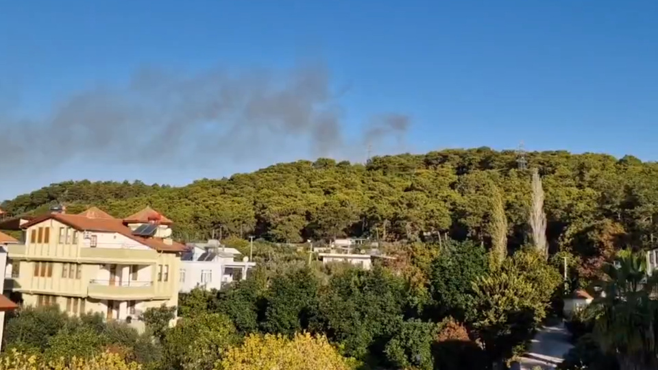 Model uçak olduğu değerlendirilen hava aracı düştü