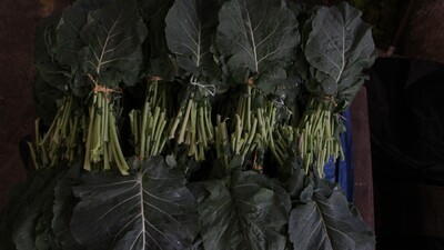 Karalahana faydaları