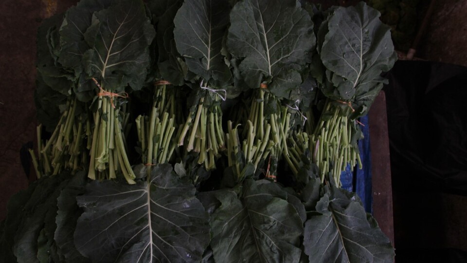 Karalahana faydaları