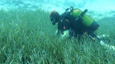 Mavi Nefes Projesi'yle 250 tona yakın atık toplandı