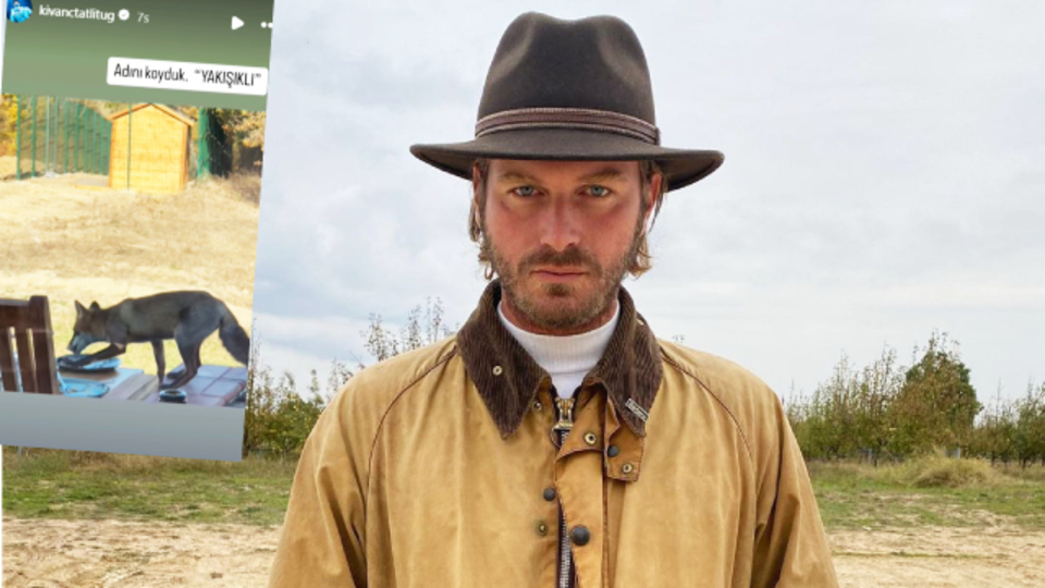 Bahçesine giren tilkiyi paylaştı