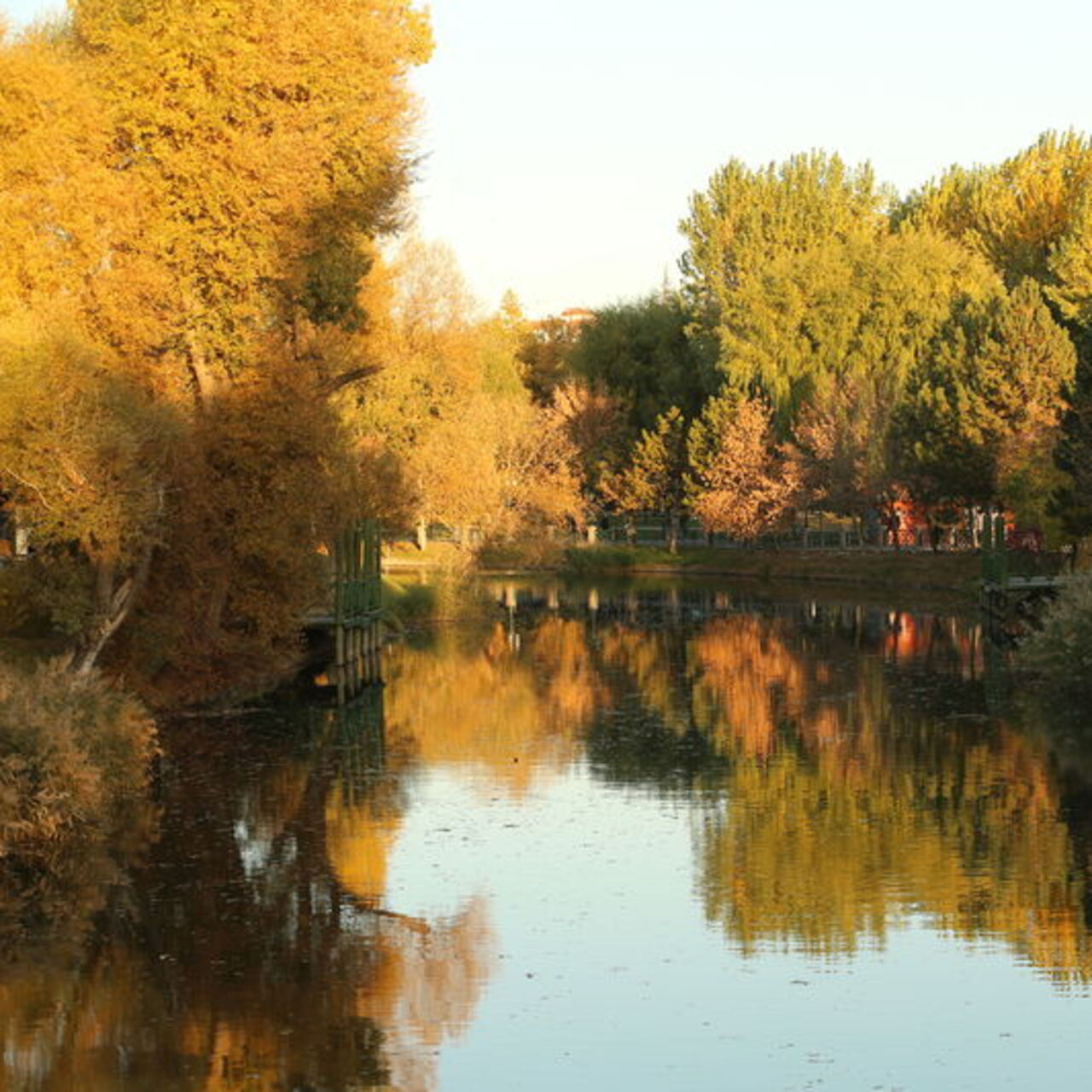 Eskişehir'i ikiye bölen çay: Porsuk