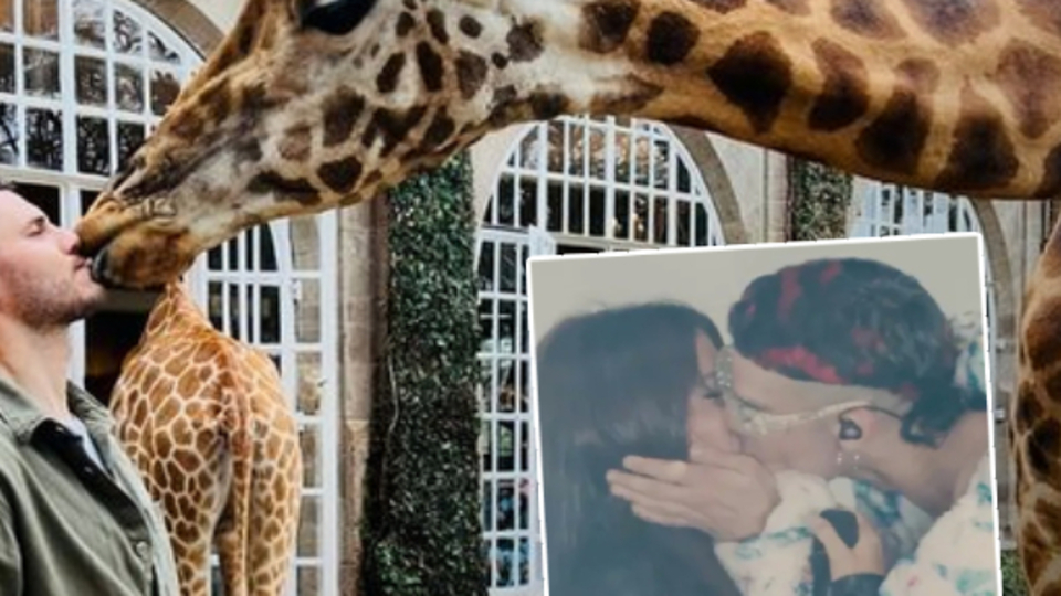 Zürafalı gönderme