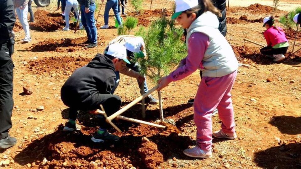 Muğla'da binlerce fidan toprakla buluşacak