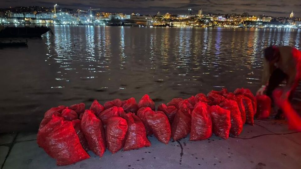 Kadıköy'de 1 ton kaçak midye