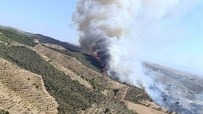 Anız yakımı: Orman yangını ve erozyon