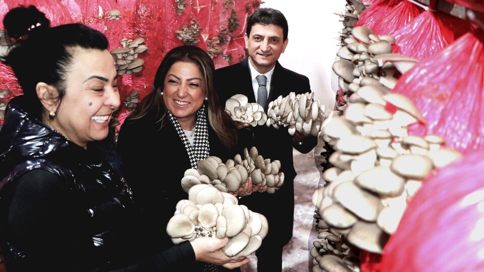 Mantar üreticisi kadını öldürenler için kırmızı bülten