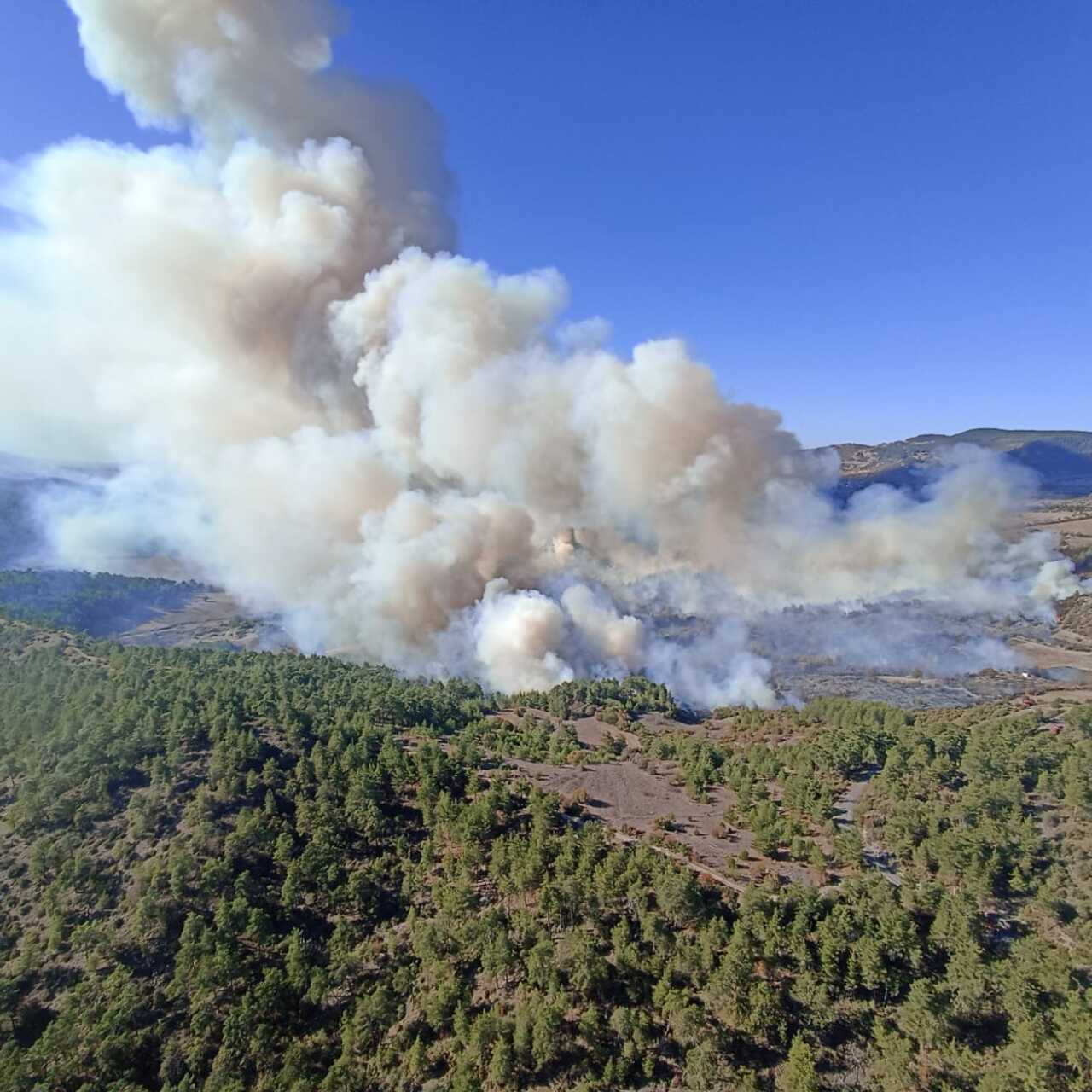 Bursa'da iki farklı noktada orman yangını