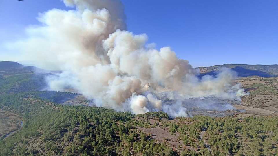 Bursa'da iki farklı noktada orman yangını