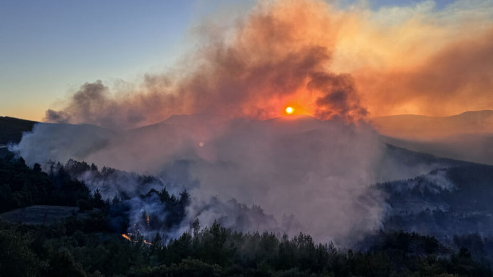 Bursa'daki yangın Balıkesir'e sıçradı!