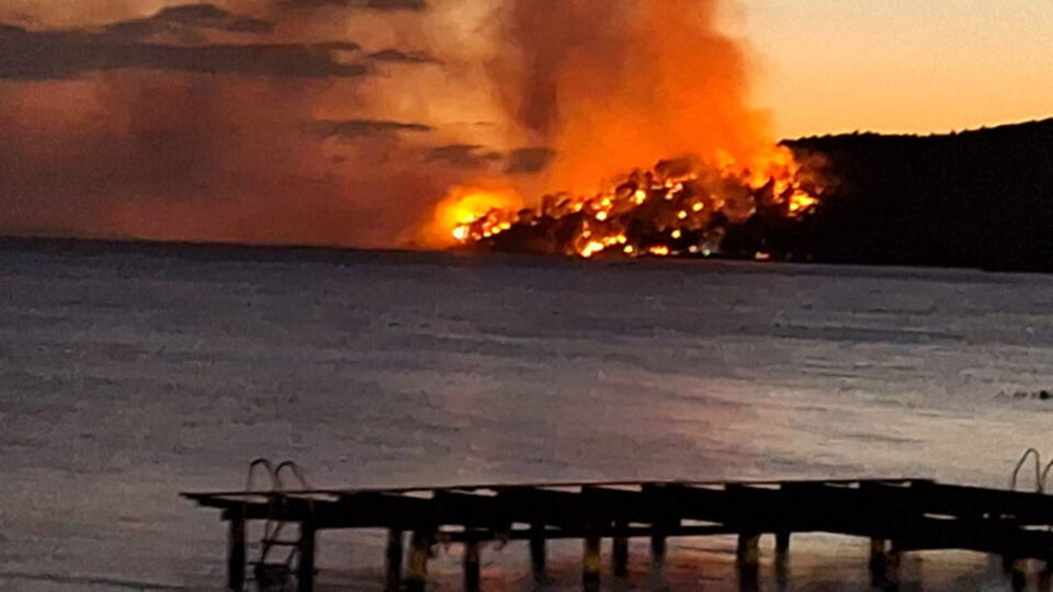 Edirne'de orman yangını: Kontrol altına alındı