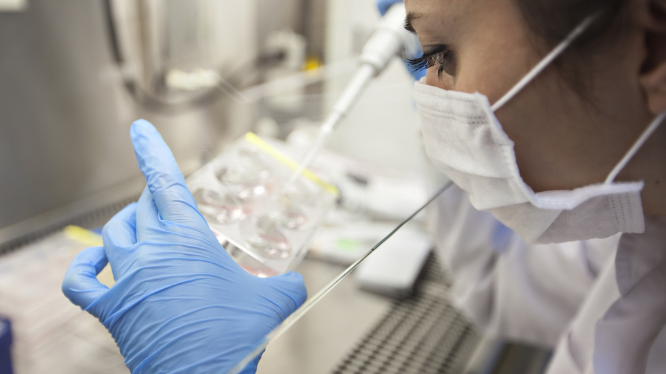 Proteinlerin gizemli dünyası aydınlanıyor!