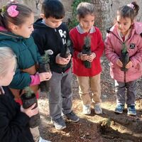 Sorgun'da "Çocuklar Fidanıyla Büyüsün" projesi | Son dakika haberleri thumbnail