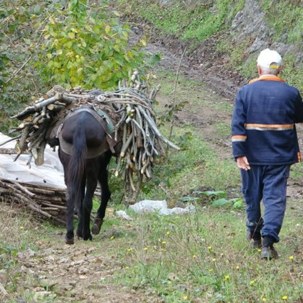 Giresun'da "katırcılık" da tarih oluyor