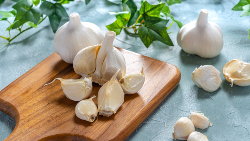 Sarımsağın saça faydaları ve zararları