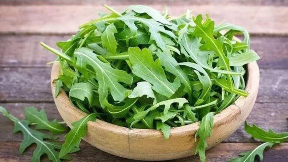 Tere otu nedir, faydaları neler?