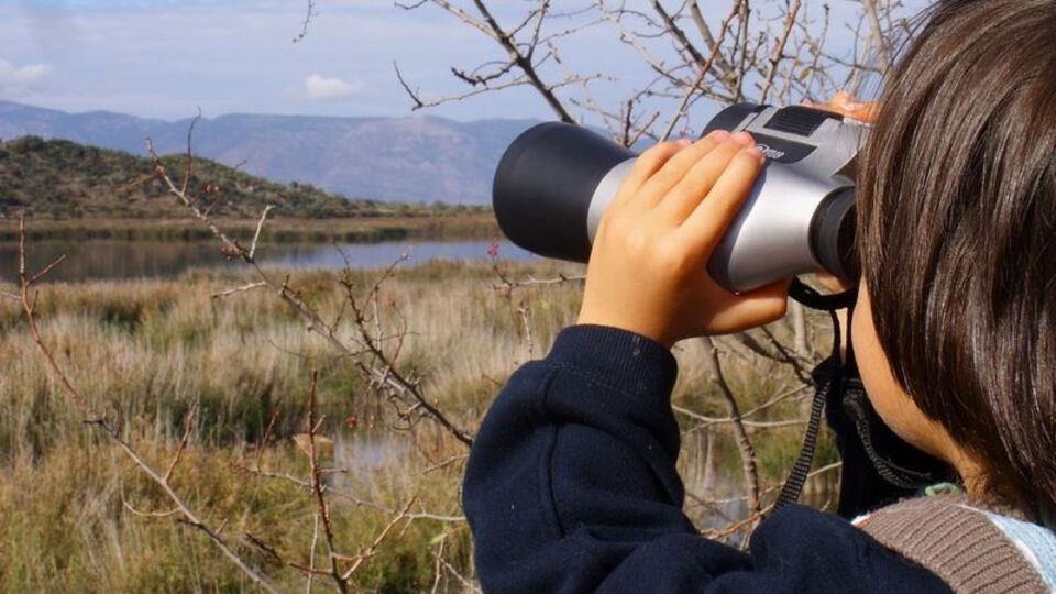 "Azap Gölü ava kapatılmalı"