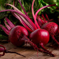 Kırmızı pancar faydaları ve zararları