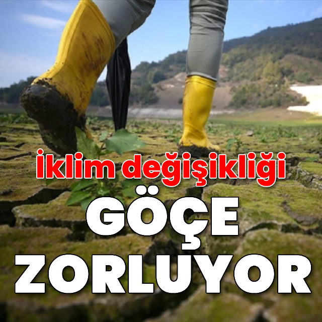 İklim değişikliği, 2023'te 26 milyon kişiyi yerinden etti