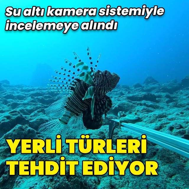 Balık popülasyonuna kameralı takip!