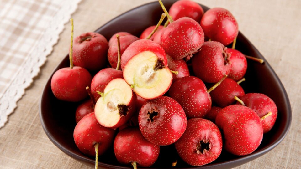 Alıç Nedir, Ne İşe Yarar?