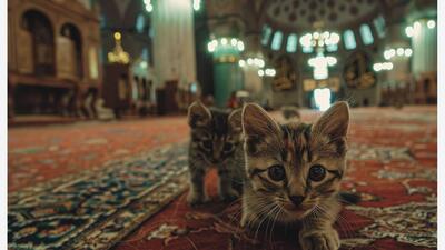 "Topkapının Kedileri" yapay zekayla bir arada