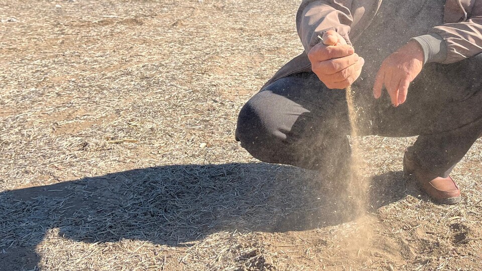 Ekimde şiddetli kuraklık yaşandı! Yağışlar yolda