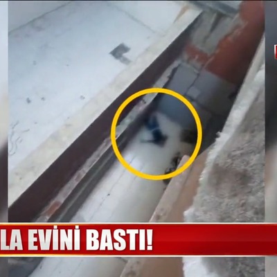 Yasak aşk dehşeti!