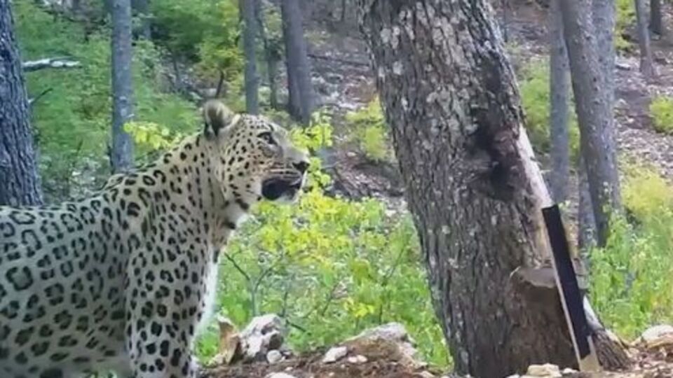 En net görüntülerinden biri paylaşıldı!