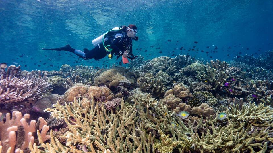 Gemi enkazına benzettiler! Dünyanın en büyüğü