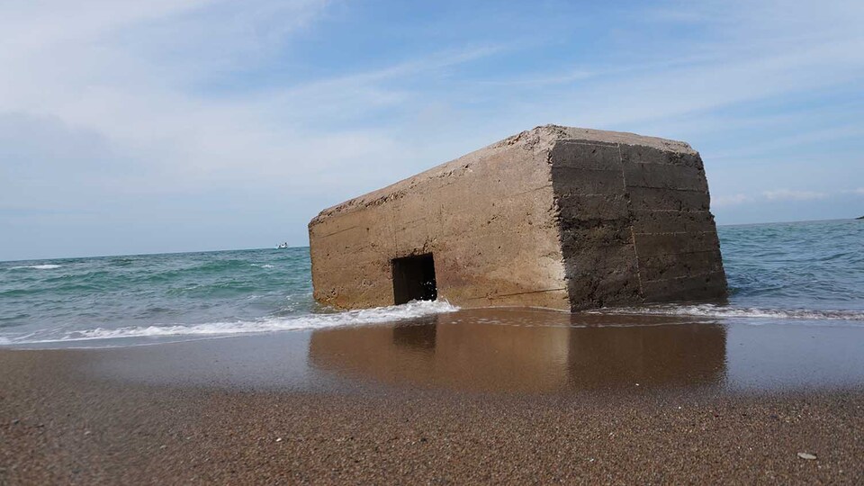 CultureCIVIC Kültür Sanat Günleri