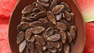 Karpuz çekirdeği faydaları nedir?