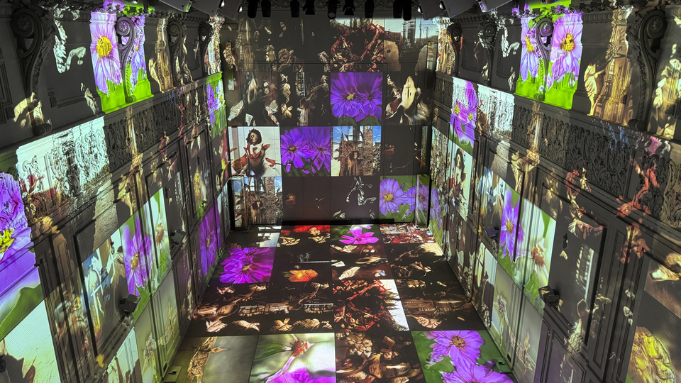 Hope Alkaraz'da 'Dağıtılmış Bilinç'