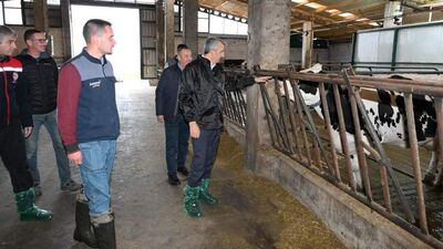 Edirne'de ari damızlık üretim merkezi yapılacak