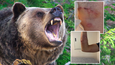 Abdest alırken ayının saldırısına uğradı