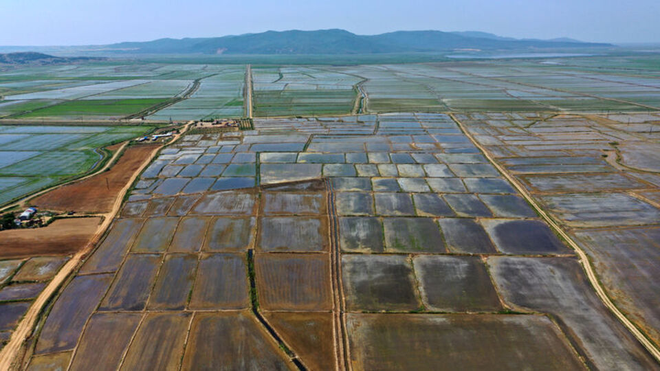 Edirne'de 4 ovaya "büyük ova koruma alanı" kararı