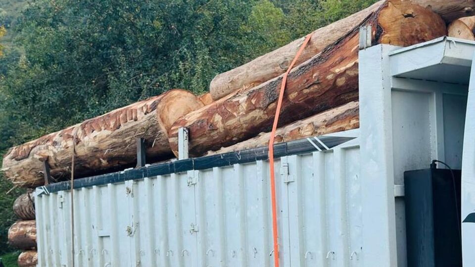 Ormanda kaçak kesime 4 tutuklama